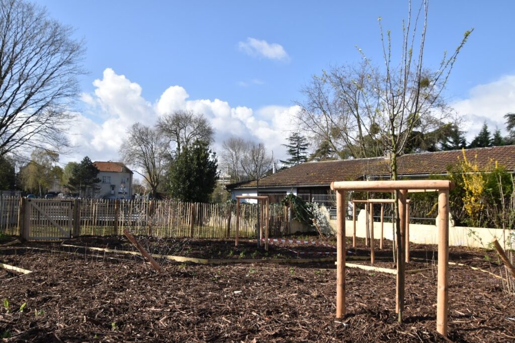 Photographie de la parcelle cadastrée n°3824 du Lac de Sévigné à Livry-Gargan en 2024, montrant la première plantation de la forêt-jardin.